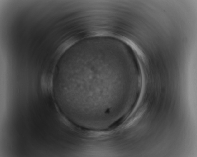 X0000092261289200709211112