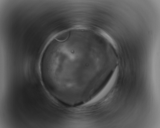 X0000092261291200709211112
