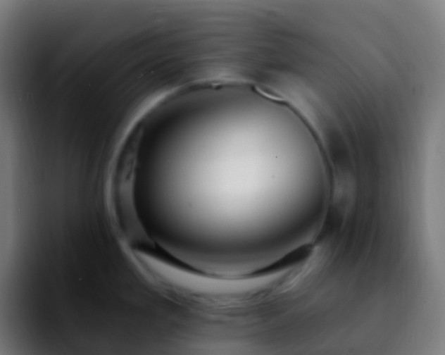 X0000092261293200709211112