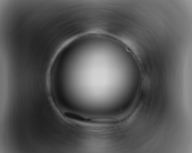 X0000092261295200709211112