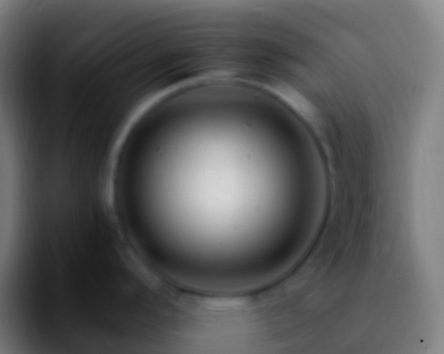 X0000092261296200709211112