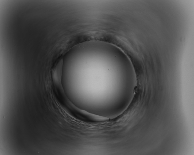 X0000092261298200709211112