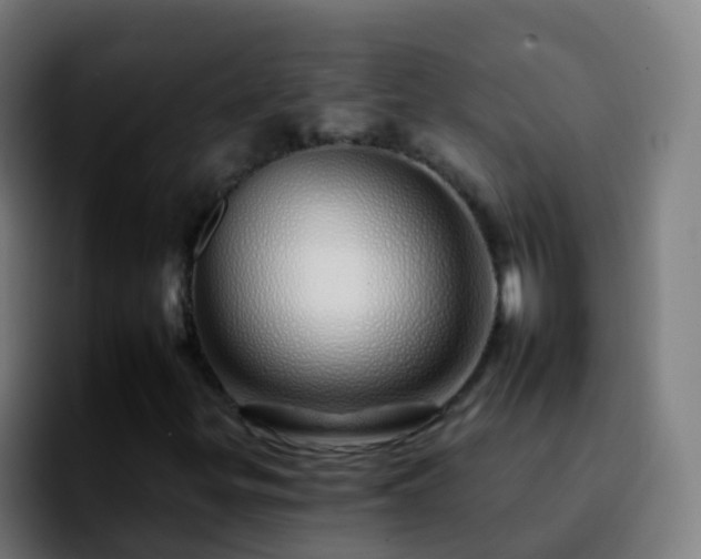 X0000092261299200709211112