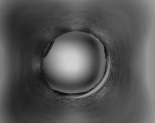 X0000092261300200709211112