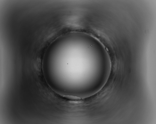 X0000092261301200709211112