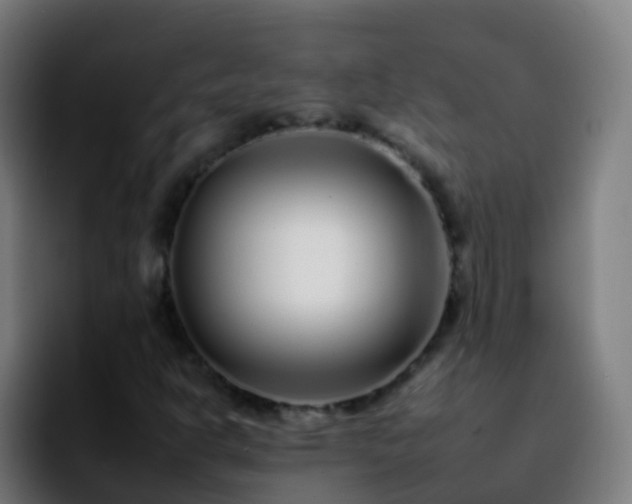 X0000092261302200709211112
