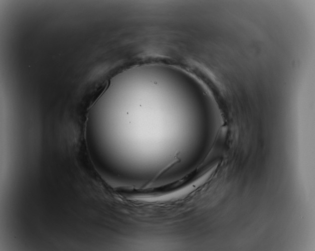 X0000092261303200709211112
