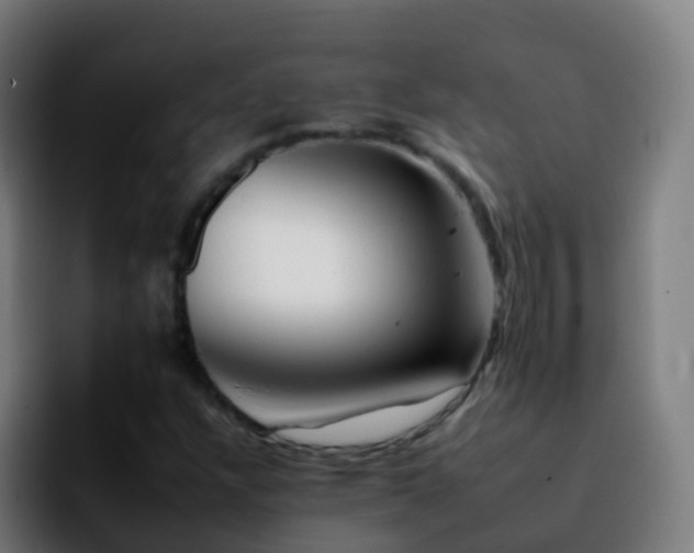 X0000092261304200709211112