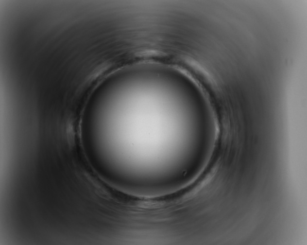 X0000092261305200709211112