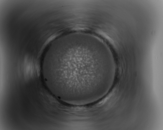 X0000092261306200709211112