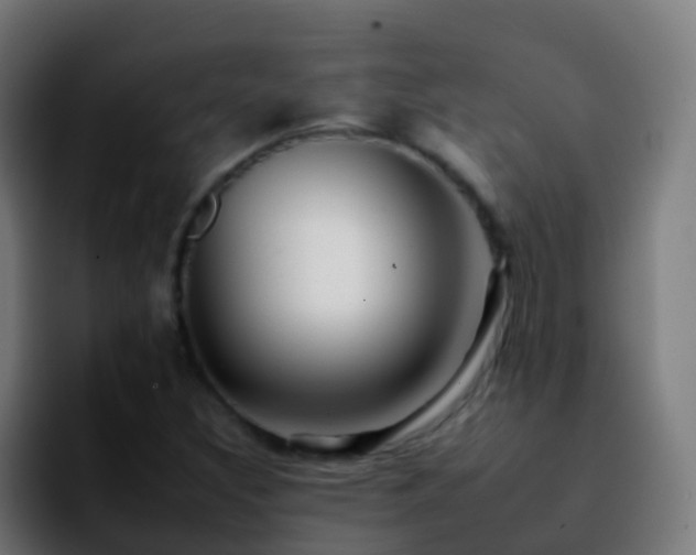 X0000092261308200709211112