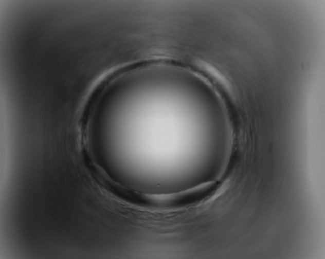 X0000092261310200709211112