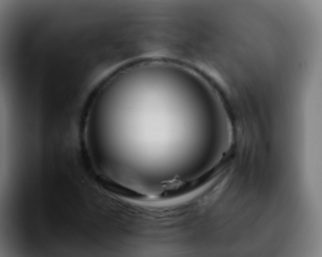 X0000092261311200709211112