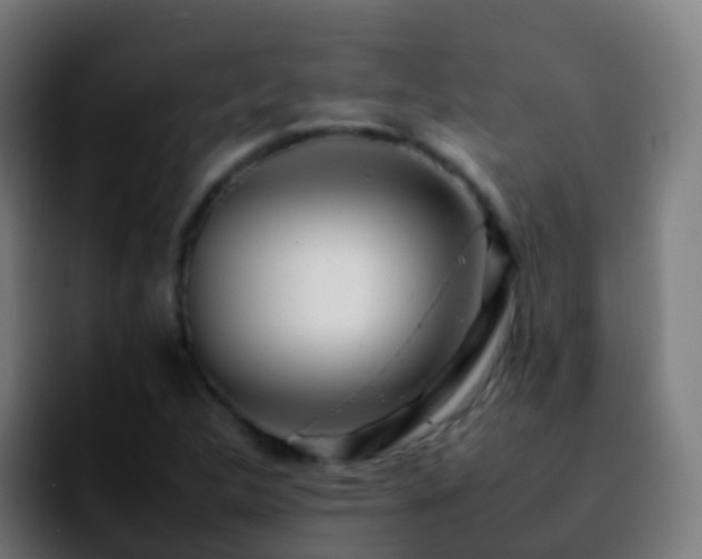 X0000092261312200709211112