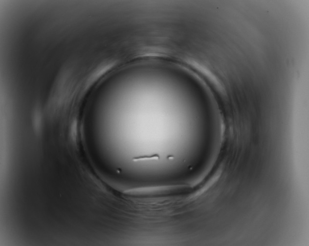 X0000092261317200709211112