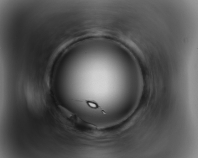 X0000092261318200709211112