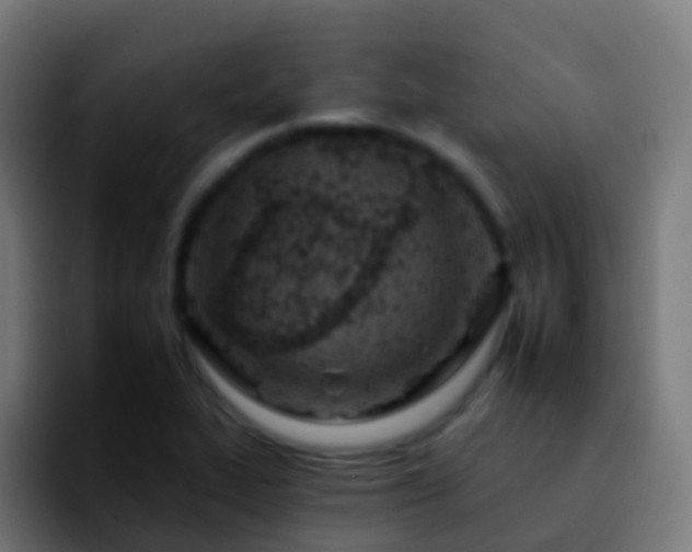 X0000092261319200709211112