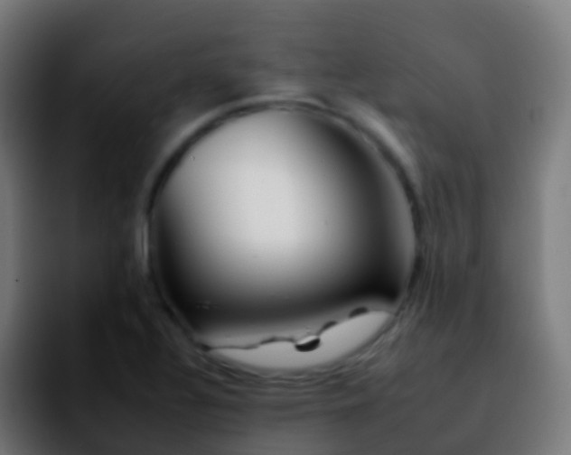 X0000092261320200709211112