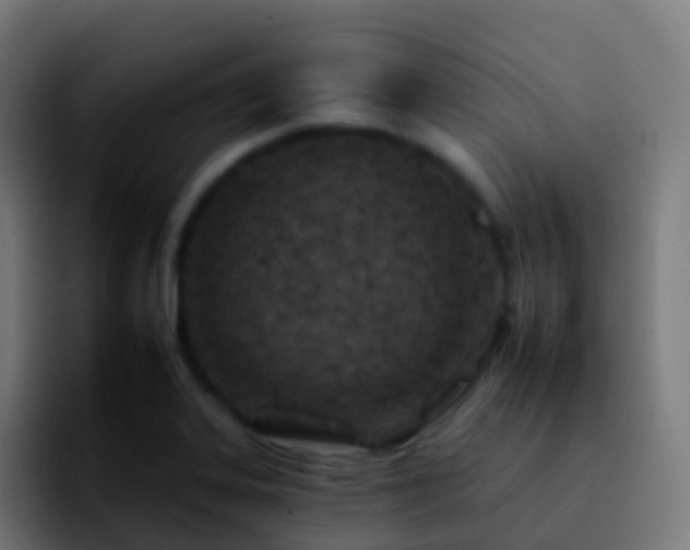 X0000092261323200709211112