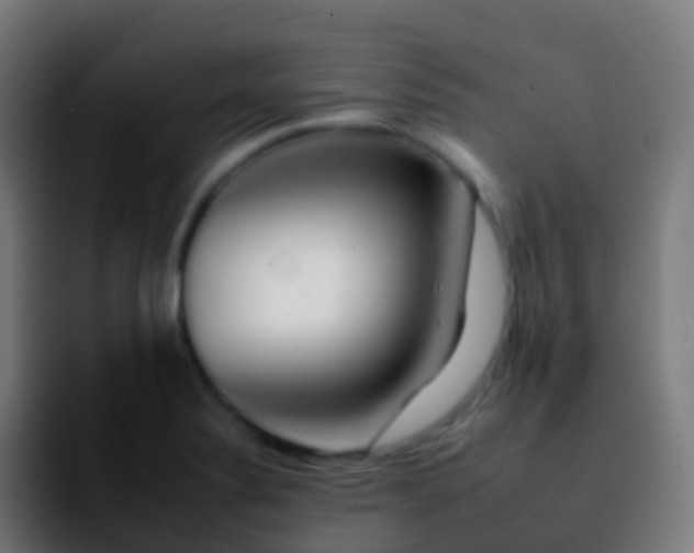 X0000092261324200709211112