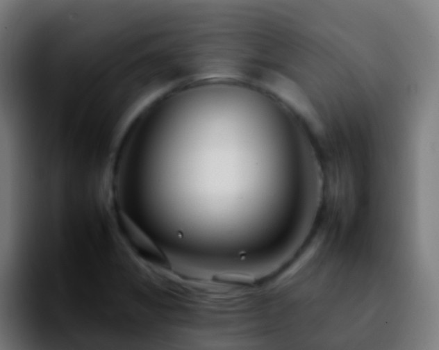 X0000092261325200709211112