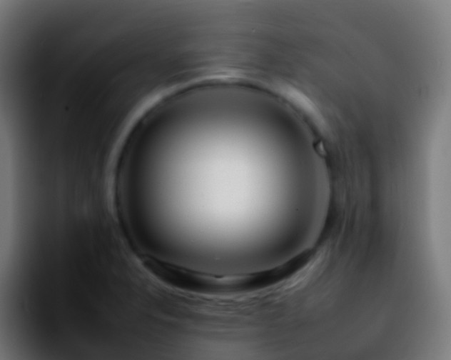 X0000092261326200709211112