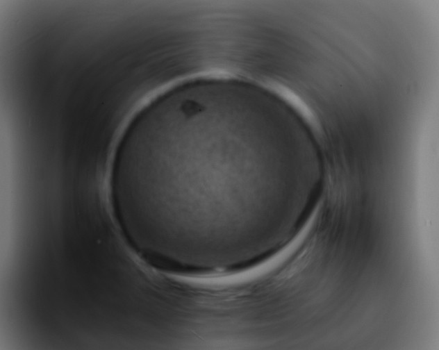 X0000092261327200709211112