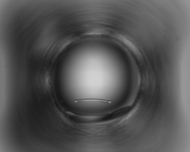X0000092261329200709211112