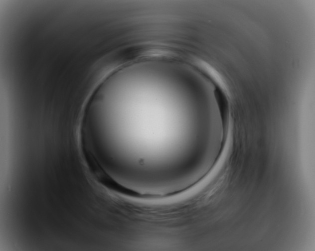 X0000092261330200709211112