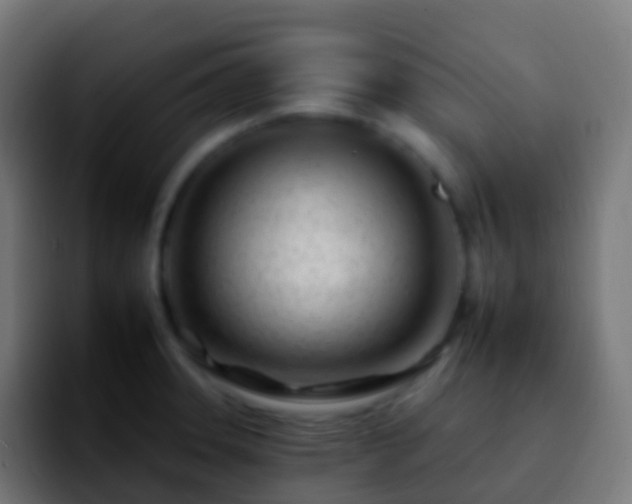 X0000092261331200709211112