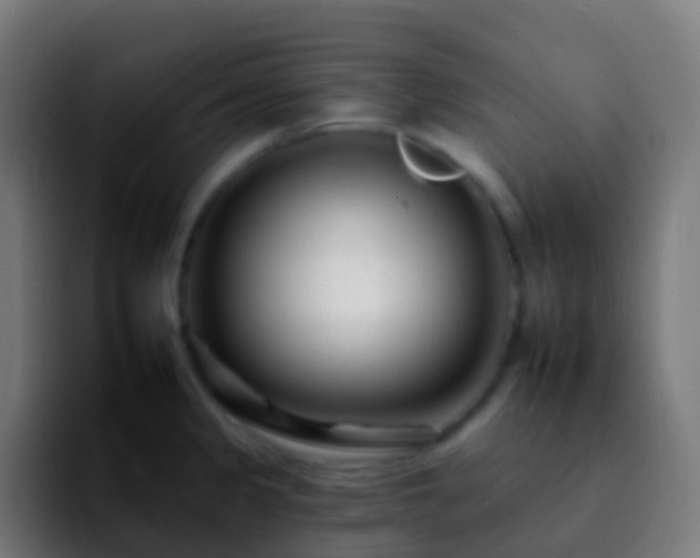 X0000092261333200709211112