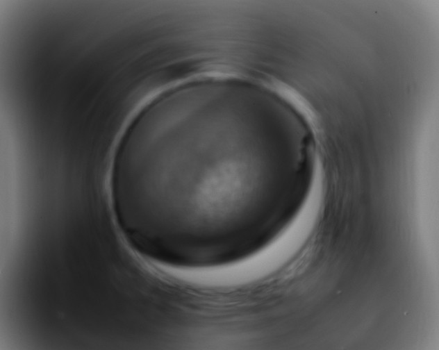 X0000092261334200709211112