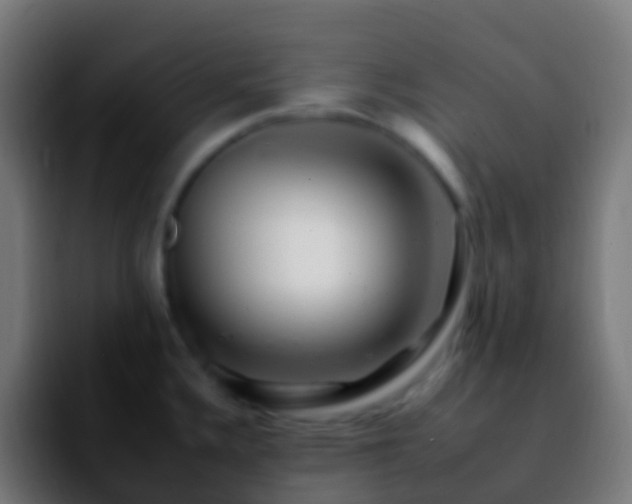 X0000092261336200709211112