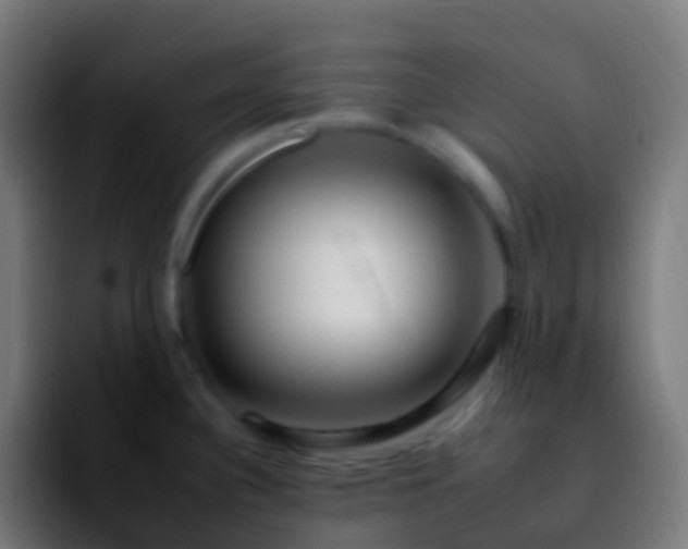 X0000092261340200709211112