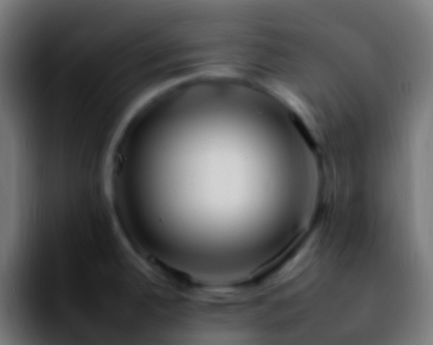 X0000092261342200709211112