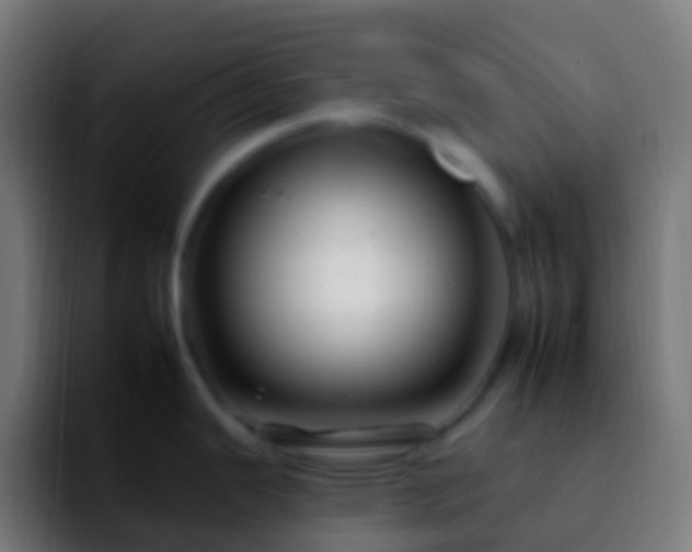 X0000092261343200709211112