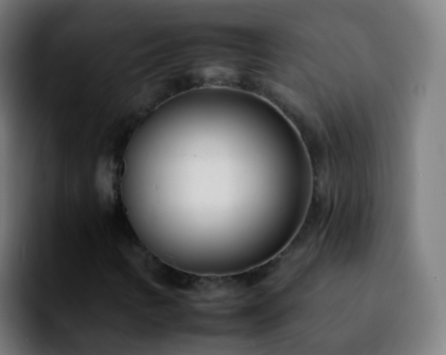 X0000092261346200709211112