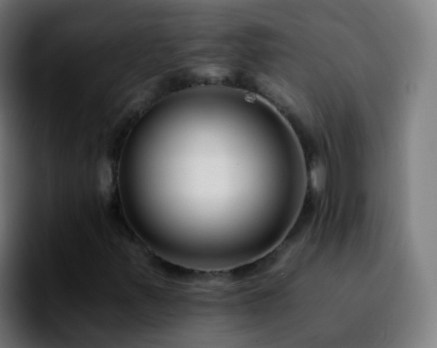 X0000092261347200709211112