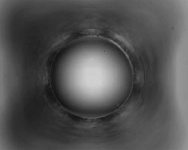 X0000092261350200709211112