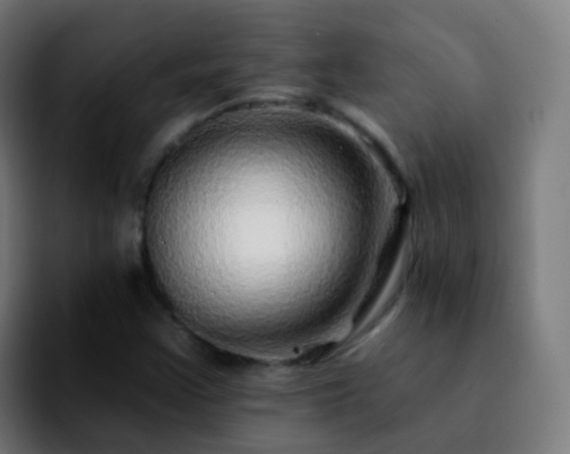 X0000092261355200709211112