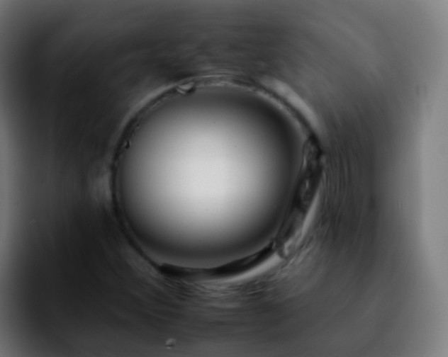 X0000092261356200709211112