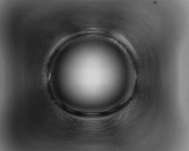 X0000092261360200709211112