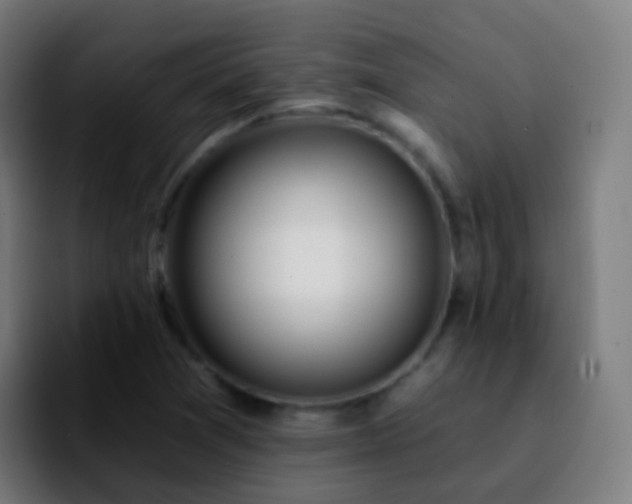X0000092261361200709211112