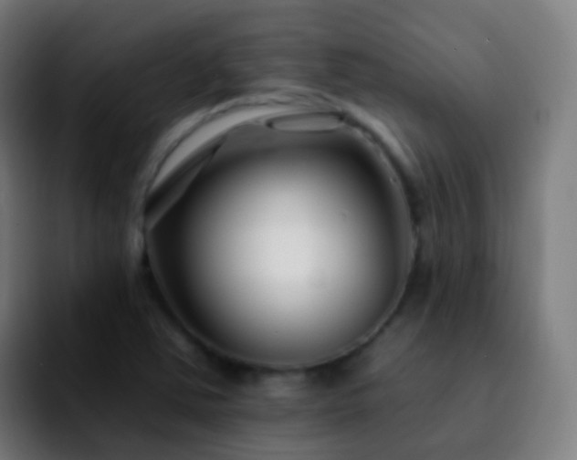 X0000092261363200709211112
