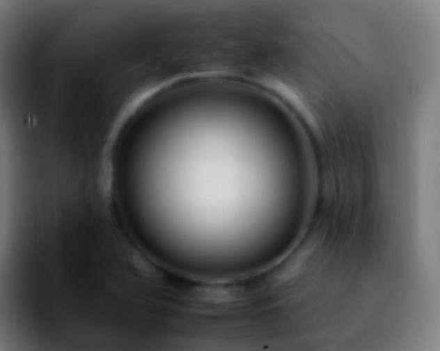 X0000092261366200709211112
