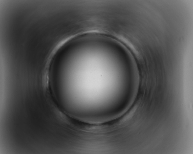 X0000092261367200709211112