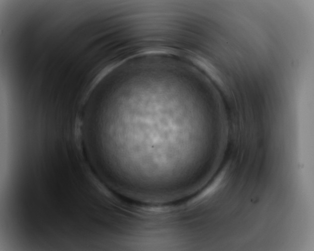 X0000092261369200709211111