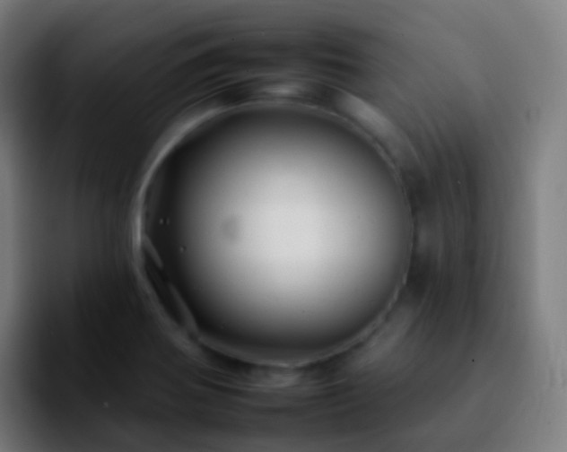 X0000092261370200709211111