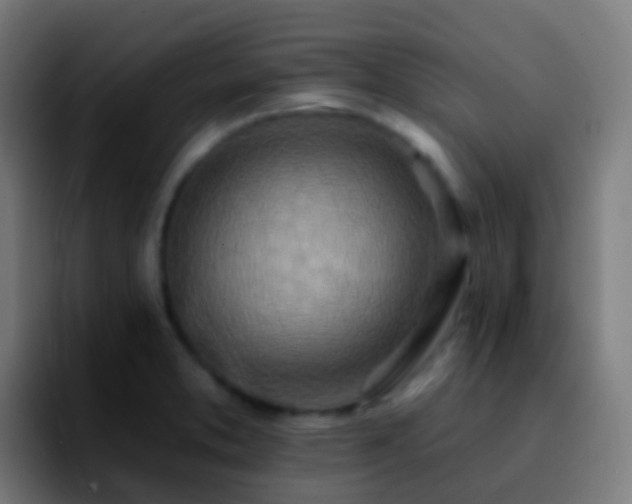 X0000092261373200709211111