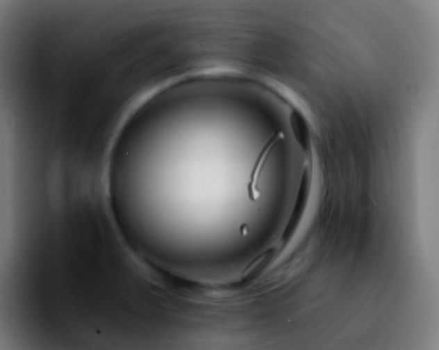 X0000092261375200709211111